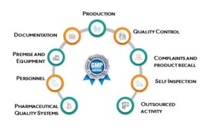 GMP Compliance