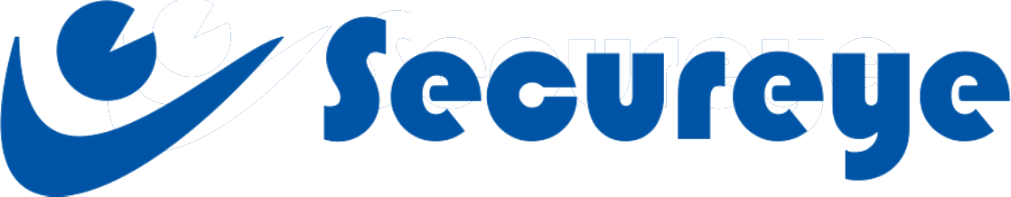 Secureye Authorized Partner
